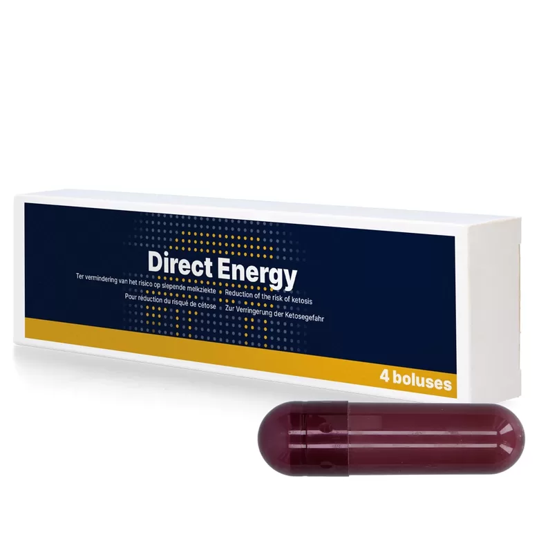 DIRECT ENERGY boli ketozes profilaksei govīm 